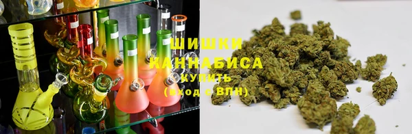 ГАЛЛЮЦИНОГЕННЫЕ ГРИБЫ Алексеевка