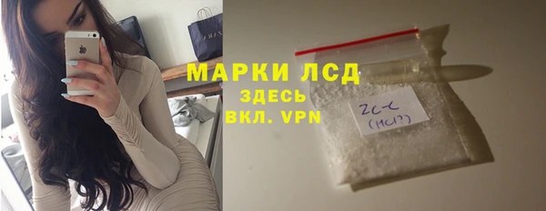 прущие грибы Нея