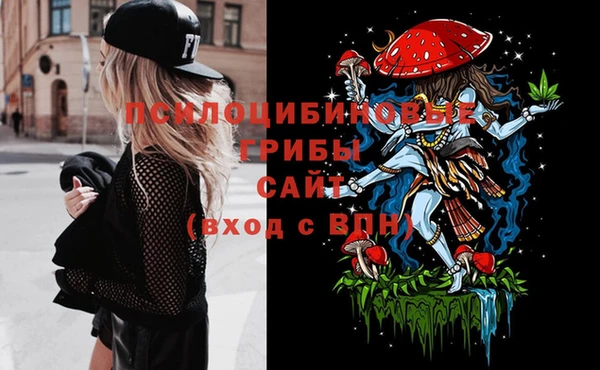 ГАЛЛЮЦИНОГЕННЫЕ ГРИБЫ Абинск