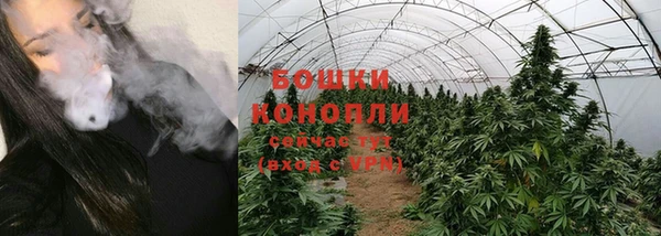 ГАЛЛЮЦИНОГЕННЫЕ ГРИБЫ Алексеевка