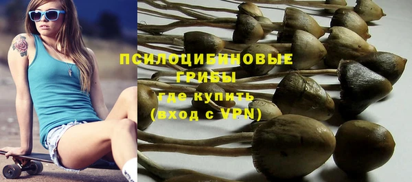 ГАЛЛЮЦИНОГЕННЫЕ ГРИБЫ Алексеевка