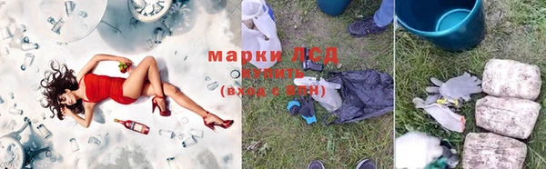 стафф Нефтегорск